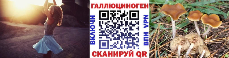 Купить Верхняя Тура Псилоцибиновые грибы GOLDEN TEACHER